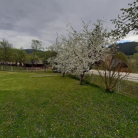 Apartman Djokovic Mokra Gora Extérieur photo