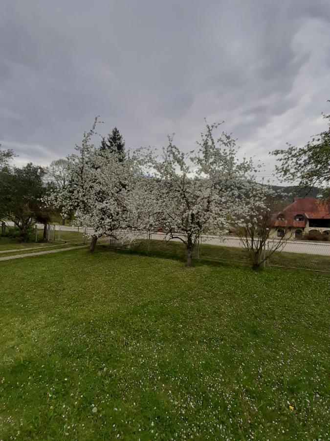 Apartman Djokovic Mokra Gora Extérieur photo