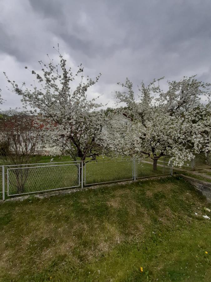 Apartman Djokovic Mokra Gora Extérieur photo